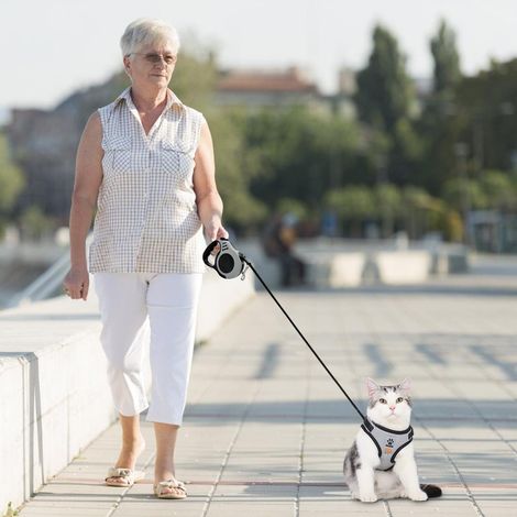 Harnais et Laisse pour Chat Réglable avec Sangle Rétractable - Kit de Promenade Sécurisé et Confortable pour Animal de Compagnie (1/5)