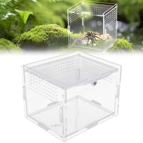 Terrarium acrylique transparent à 360°, avec trous d'aération, pour araignées, lézards, grenouilles, scorpions, grillons et geckos (10 x 8 x 7 cm) (1/5)