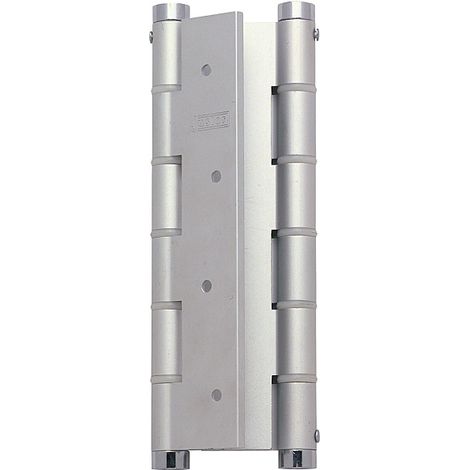 Charnière à ressort double action : Aluminium - TORBEL (1/5)