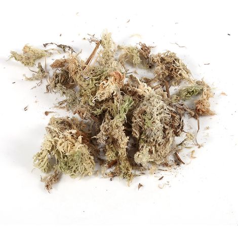 Mousse de Sphagnum 6L pour Orchidées Phalaenopsis - Engrais Organique Hydratant et Nutritif