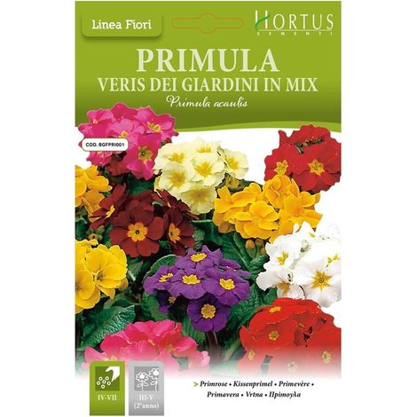 Primula veris Dei giardini mix DB
