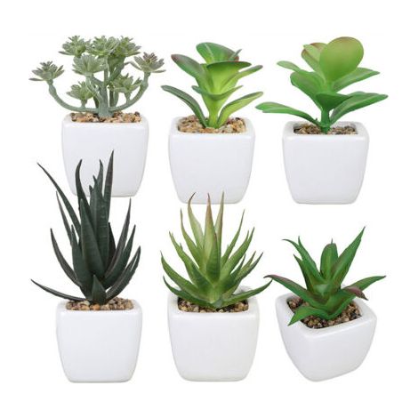 BUNTHAUS 6 pièces en céramique carré plante succulente bonsaï décor à la maison Simulation plante succulente bonsaï ensemble (1/5)