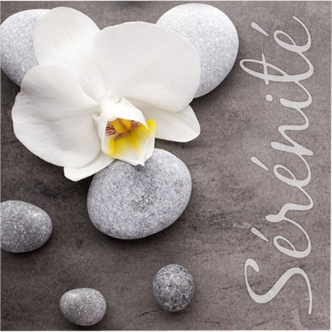 Lot de 20 serviettes papier serenite