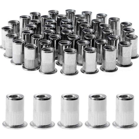 100 Pièces Rivet Ecrou M8, Écrous à Rivets en Acier Inox, Assortiment M8 Ecrou Insert Filetés Tête Plate pour Métal Plastique (14 mm x 18 mm)