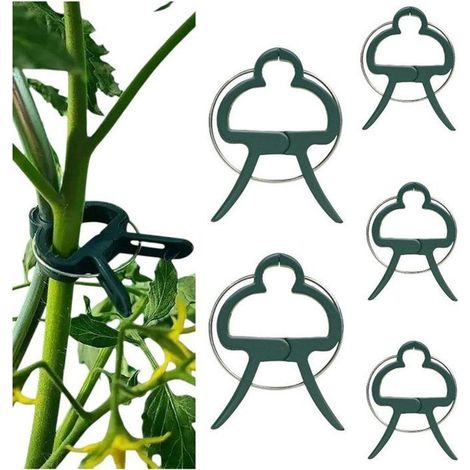 Pinces de fixation vertes pour tuteurs et treillis, tomates et grimpantes, lot de 5. (1/4)