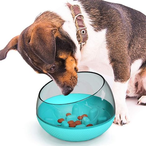 Automatischer Futterautomat für Hunde und Katzen mit Knopfdruck, Futterautomat mit langsamer Fütterung für kleine Hunde (blau)