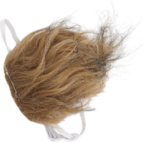 Perruque pour animaux de compagnie, coiffure décoiffée pour animaux de compagnie, accessoires d'Halloween pour chiens et chats, marron (1/5)