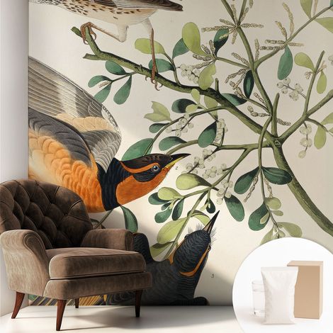 Tapete Vliestapete mit Kleber modern - Wanddeko für Küche - Klebefolie Wand - luxus Look Bunte Vögel 250x250 cm (1/5)