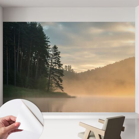Tapete adhésive moderne pour salon et chambre à coucher Décoration rapide avec colle Matin brumeux 152x104 cm (1/5)