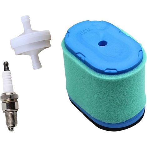 Remplacement Air pour Intek Série Remplacement Air pour Intek  Compatible pour b&s 498596, 690610, 697029, ajustement parfait, installation pour facile, protection moteur (1/5)
