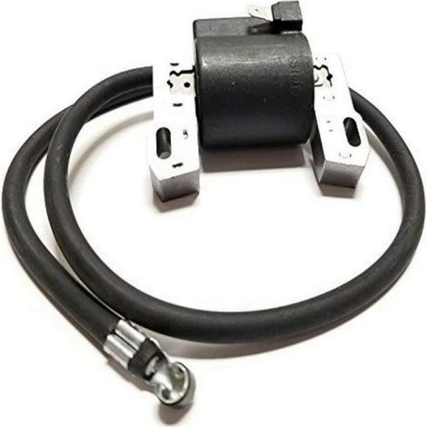 Bobine D Allumage Haute Tension - Compatible Moteurs 4 Temps Monocylindres - Pour Tondeuses À Gazon Et Petits Moteurs - Pack De 1 (1/4)