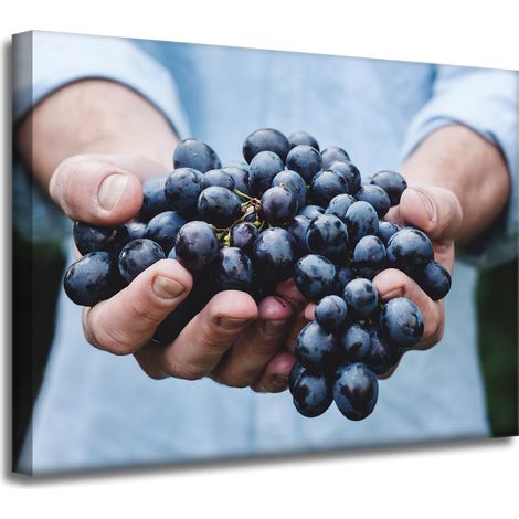 Lienzo impreso "Cocina: Racimo de uvas" 40x30 cm