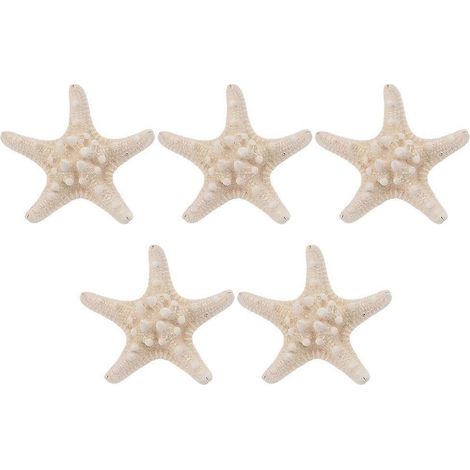 Lot de 5 aimants décoratifs pour réfrigérateur - Décoration créative (1/5)