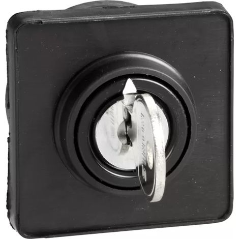 Schalterkopf 45x45mm mit Schlüssel Ronis 8R1 fi22 KDC1S (1/2)