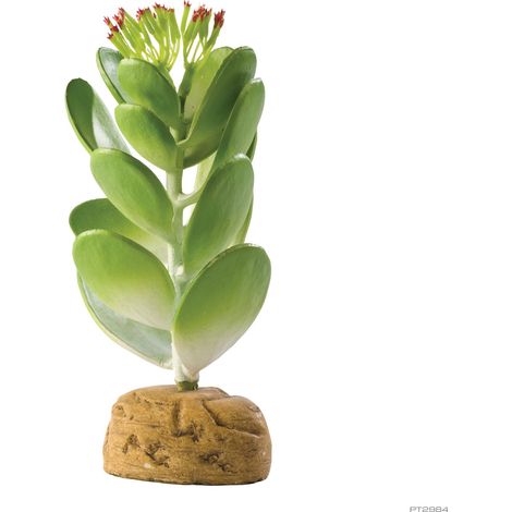 Exo Terra Cactus Artificial Jade - Planta Artificial Cactus Jade