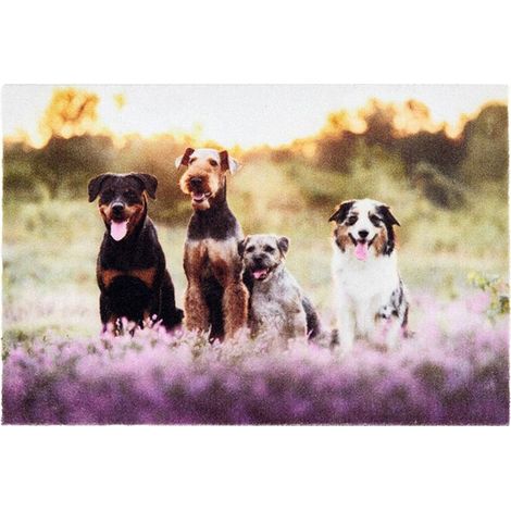 Paillasson Chiens Tarres Paillasson Intérieur Déco Chiens Polyamide - Tarres