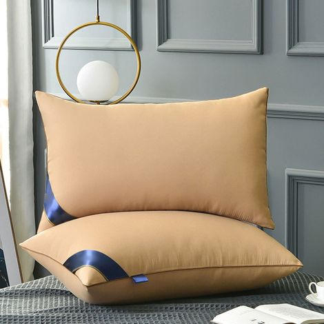 Oreiller De Lit - Garnissage En Plume Velours - Tissu Coton Doux Pour La Peau - 42x70cm - 1 Pièce (1/5)