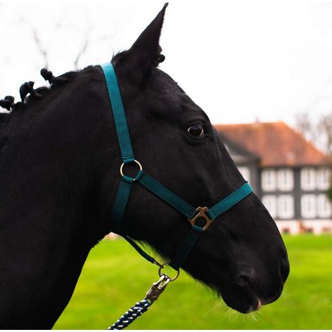 1 Licol Cheval Réglable 2 Positions Nylon Résistant Écurie Pâturage Demi-Sang (1/5)