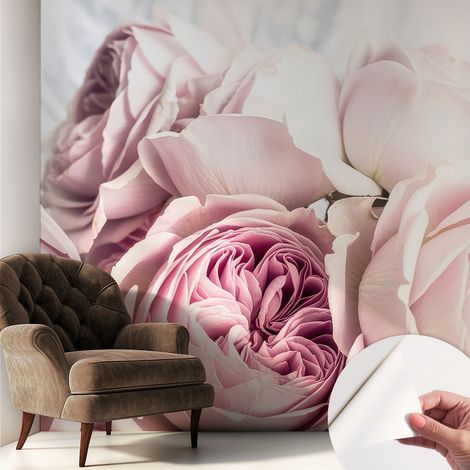 Carta da parati autoadesiva - fotomurale - decorazione parete - murale - adesivo da muro - Rose rosa 250x250 cm (1/5)