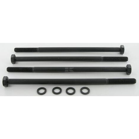 Conj. de pernos Pol.20 M10x220 CASAPPA PLP920M10220