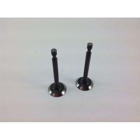 Kit soupape d'aspiration, échappement moteur 1P65FE 550034 (1/3)