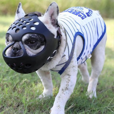 Muselière souple en silicone pour chiens à museau court, idéale pour les chiens à face plate et agressifs. Empêche les morsures et les mâchonnements.-M-Black (1/5)
