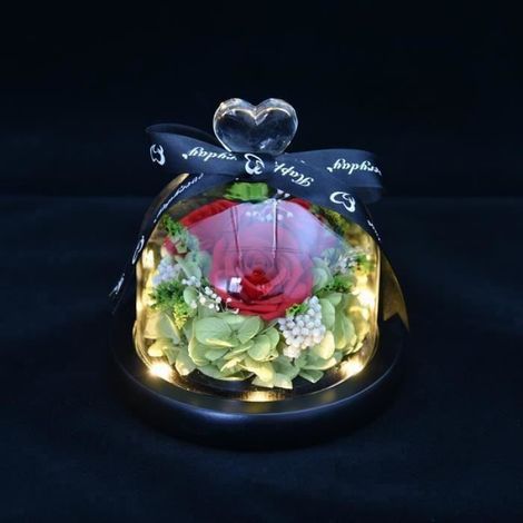 Fleur Artificielle - - Rose Éternelle - Dôme en Verre - Lumière LED - Rouge (1/4)