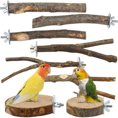 8 Pcs Budgie Parakeet Budgie Parakeet (1/5)