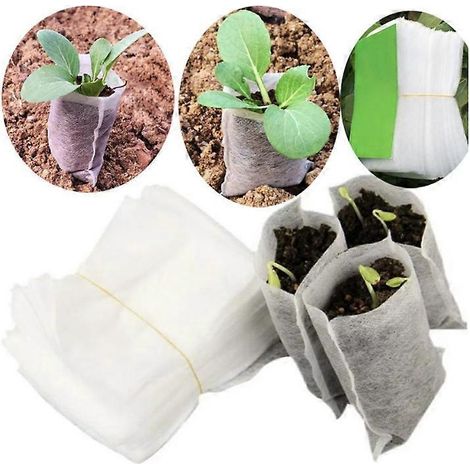200 sacs de semis biodégradables non tissés pour pépinière (200 pièces 810cm) (1/5)