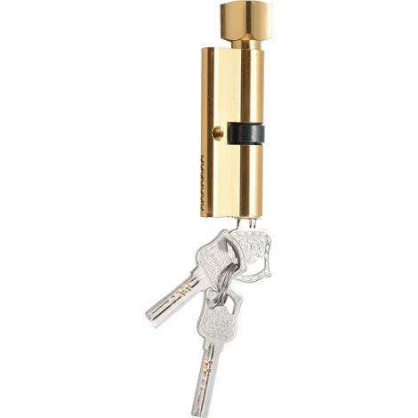 Cylindre de Serrure pour Porte, Armoire, Boîte aux Lettres et Tiroir en Aluminium avec Clés - Sécurité Domicile