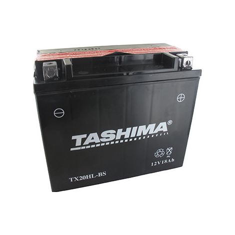 Batteria al Piombo Stagna ad Alte Prestazioni Senza Manutenzione 12V, 18Ah. L: 175, L: 87, H: 155mm, + a Destra Per Moto, Jet-ski, Quad.