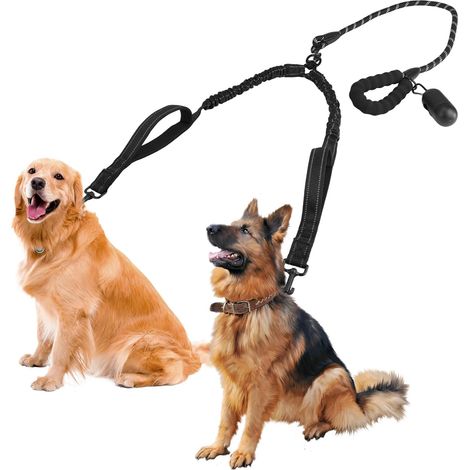 Laisse Double pour 2 Chiens, Taille Moyenne ou Grande Élastique Réfléchissante, Anti-Embrouillement à Rotation 360°, Poignée Rembourrée, Sac à Crotte Inclus (1/5)