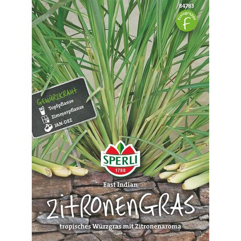Sperli Zitronengras East Indian - Kräutersamen (1/2)