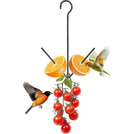 Mangeoire à oiseaux pour orioles d'extérieur mangeoire suspendue orange avec crochet porte-fruits en métal noir pour jardin et terrasse - 1 (1/5)