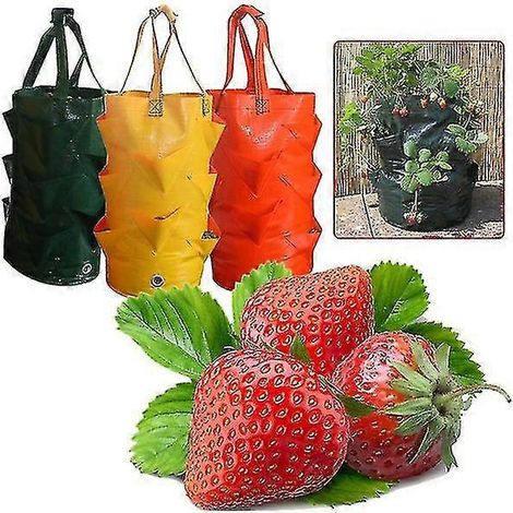 Filiyano – sac de culture orange – Sacs de culture pour pommes de terre et fraises, pour la culture de pommes de terre en extérieur, jardin vertical (1/5)