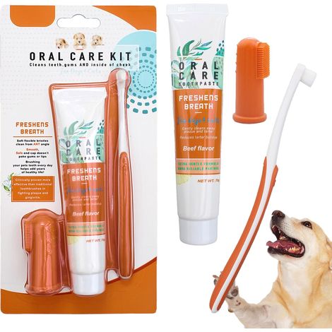 3 Pièces Brosse Dent Chien et Dentifrice,Kit de Soins Dentaires (1/5)