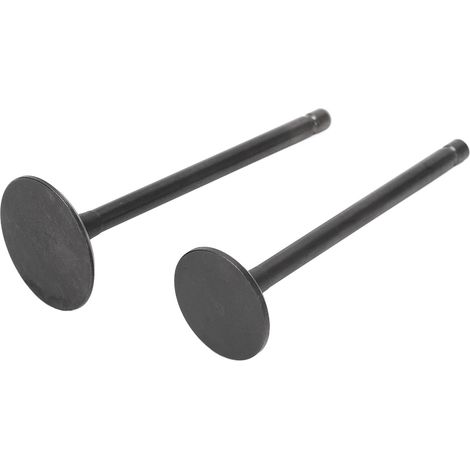 Kit de soupapes d'échappement et d'admission noires, jeu de soupapes d'échappement et d'admission de remplacement pour XG250 TRICKER 2004‑2017 (1/5)