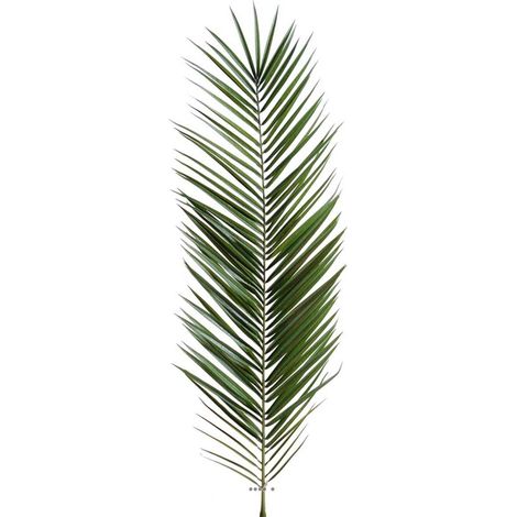 Feuille de palmier Phoenix artificielle en tergal H 150 cm Vert - dimhaut: H 150 cm - couleur: Vert