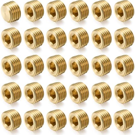 Lot de 30 bouchons mâles NPT, 1/4 pouce, pour l'installation, la maintenance et une utilisation pratique.-AquaForge (1/5)