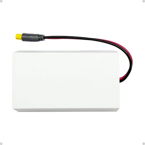 Convertisseur 12V vers 56V pour Standard Gen 3, Adaptateur XT60 Femelle vers DC, Booster de Tension pour Camping-car, Bateau, Caravane et Batterie Hors Réseau