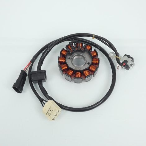 Zündstator RMS für Piaggio 125 Liberty Scooter (1/3)