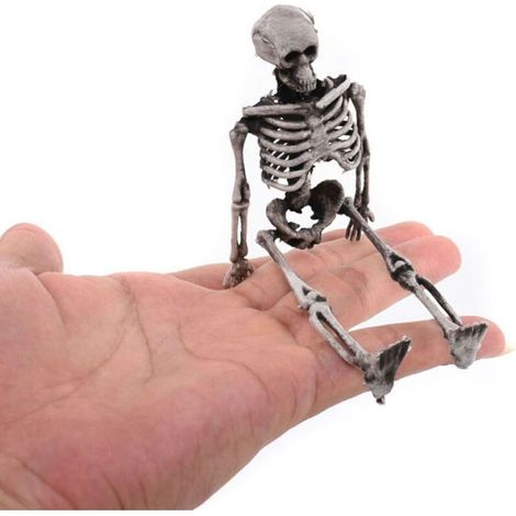 mini squelette d'Halloween, déguisement de squelette, simulation de crâne, squelette fantôme (1/5)