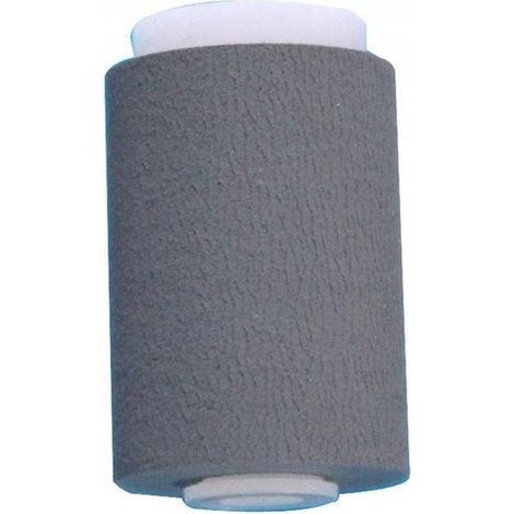 Rodillo de recogida de papel CoreParts MSP6550