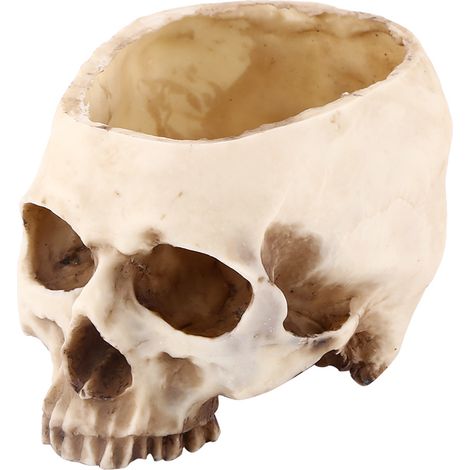 1pc Resin Skull Head Design Flower Pot Planter Container Decoration (1/5)