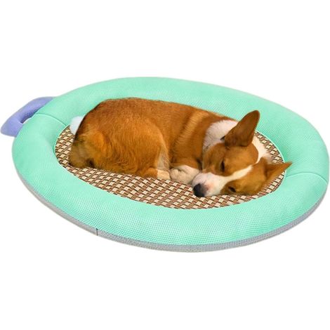 Tapis Rafraîchissant pour Chat Panier pour Animal avec Balle Interactive Tapis De Glace pour Lit Rafraîchissant Chiot pour Chiot Chat Maison Extérieur Sol Été Canicule (1/5)