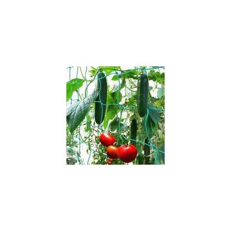 Filet à Ramer avec Maillage Large pour Une récolte particulière Bonne de concombres, tomates et Autres légumes et Plantes grimpantes – Dimensions : 1.82.7m