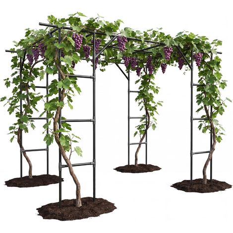 Support plantes grimpantes arche métal 240 x 200 cm noir (1/5)