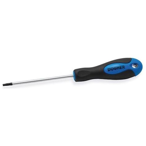 Destornillador standard CrV, Torx T40x150 mm  DOGHER 349-T40 (1/2)