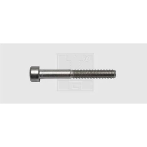 Tornillo de cabeza cilíndrica SWG Acero inoxidable 30 mm M6