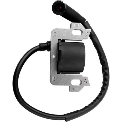 Module de bobine d'allumage compatible avec Honda GCV135 GCV160 (1/5)